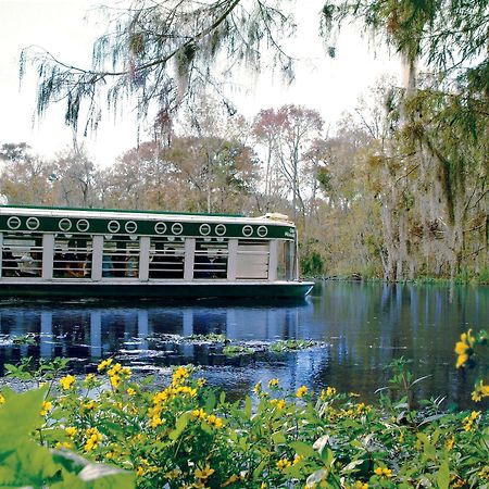 Howard Johnson By Wyndham Ocala Fl I-75 Dış mekan fotoğraf